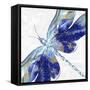 Blue Dragonfly-Eva Watts-Framed Stretched Canvas