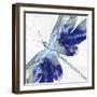 Blue Dragonfly-Eva Watts-Framed Art Print