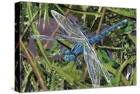 Blue Dragonfly-Kirstie Adamson-Stretched Canvas