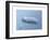 Blue Dream 1-Carlos Casamayor-Framed Giclee Print