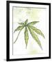 Blue Dream-Jan Weiss-Framed Art Print