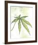 Blue Dream-Jan Weiss-Framed Art Print