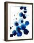 Blue Drops I-Annie Warren-Framed Art Print