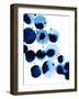 Blue Drops III-Annie Warren-Framed Art Print