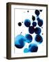 Blue Drops IV-Annie Warren-Framed Art Print