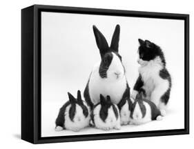 Blue Dutch Rabbit and Four 3-Week Babies and Black-And-White Kitten-Jane Burton-Framed Stretched Canvas