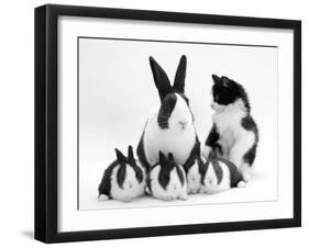 Blue Dutch Rabbit and Four 3-Week Babies and Black-And-White Kitten-Jane Burton-Framed Photographic Print