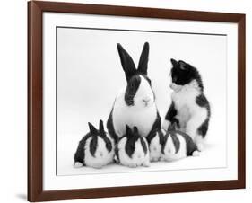 Blue Dutch Rabbit and Four 3-Week Babies and Black-And-White Kitten-Jane Burton-Framed Photographic Print