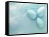 Blue Eggs and Feathers-Steve Lupton-Framed Stretched Canvas