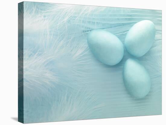 Blue Eggs and Feathers-Steve Lupton-Stretched Canvas