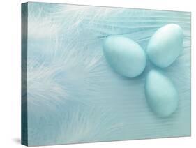 Blue Eggs and Feathers-Steve Lupton-Stretched Canvas