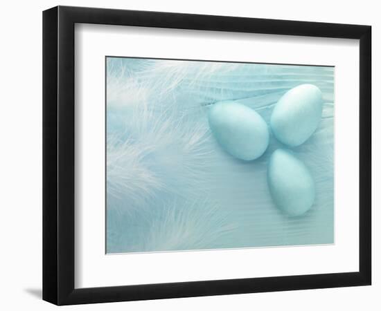 Blue Eggs and Feathers-Steve Lupton-Framed Photographic Print