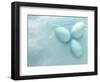 Blue Eggs and Feathers-Steve Lupton-Framed Photographic Print