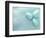 Blue Eggs and Feathers-Steve Lupton-Framed Photographic Print