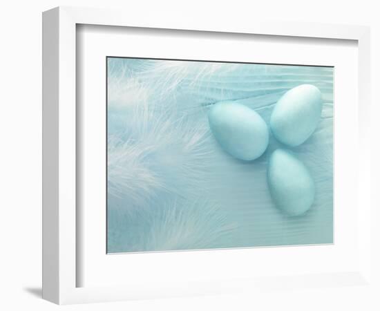 Blue Eggs and Feathers-Steve Lupton-Framed Photographic Print