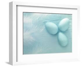 Blue Eggs and Feathers-Steve Lupton-Framed Photographic Print