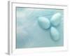 Blue Eggs and Feathers-Steve Lupton-Framed Photographic Print