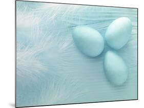 Blue Eggs and Feathers-Steve Lupton-Mounted Photographic Print