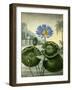 Blue Egyptian Waterlily-Stadler-Framed Giclee Print