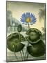 Blue Egyptian Waterlily-Stadler-Mounted Giclee Print