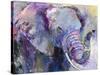 Blue Elephant-Richard Wallich-Stretched Canvas