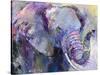 Blue Elephant-Richard Wallich-Stretched Canvas