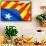 Blue Estelada Flag-Yuinai-Framed Stretched Canvas displayed on a wall