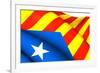 Blue Estelada Flag-Yuinai-Framed Premium Giclee Print