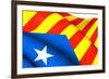 Blue Estelada Flag-Yuinai-Framed Premium Giclee Print