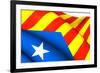 Blue Estelada Flag-Yuinai-Framed Premium Giclee Print