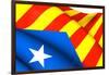 Blue Estelada Flag-Yuinai-Framed Art Print