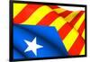 Blue Estelada Flag-Yuinai-Framed Art Print