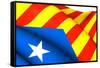 Blue Estelada Flag-Yuinai-Framed Stretched Canvas