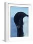 Blue-Eyed Adelie Penguin-Charles Glover-Framed Giclee Print