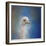 Blue Eyed Beauty Ostrich-Jai Johnson-Framed Giclee Print