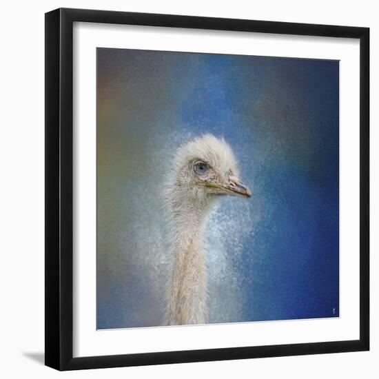 Blue Eyed Beauty Ostrich-Jai Johnson-Framed Giclee Print