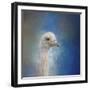 Blue Eyed Beauty Ostrich-Jai Johnson-Framed Giclee Print