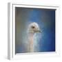 Blue Eyed Beauty Ostrich-Jai Johnson-Framed Giclee Print