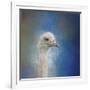 Blue Eyed Beauty Ostrich-Jai Johnson-Framed Giclee Print