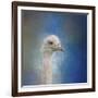 Blue Eyed Beauty Ostrich-Jai Johnson-Framed Giclee Print