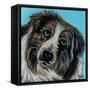 Blue Eyed Dog-Carolee Vitaletti-Framed Stretched Canvas