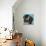 Blue Eyed Dog-Carolee Vitaletti-Art Print displayed on a wall