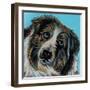 Blue Eyed Dog-Carolee Vitaletti-Framed Art Print