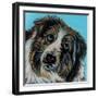 Blue Eyed Dog-Carolee Vitaletti-Framed Art Print