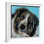 Blue Eyed Dog-Carolee Vitaletti-Framed Art Print