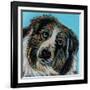 Blue Eyed Dog-Carolee Vitaletti-Framed Art Print