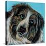 Blue Eyed Dog-Carolee Vitaletti-Stretched Canvas