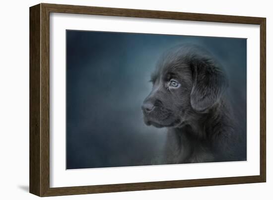 Blue Eyed Puppy-Jai Johnson-Framed Giclee Print