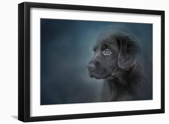 Blue Eyed Puppy-Jai Johnson-Framed Giclee Print