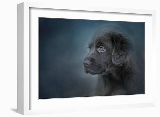 Blue Eyed Puppy-Jai Johnson-Framed Giclee Print